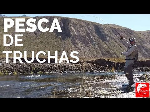 PESCA DE TRUCHAS 🎣🎣, Como Pescar Valle Hermoso, 😱😱PESCA CON MOSCA, PESCADOR, FLY FISHING