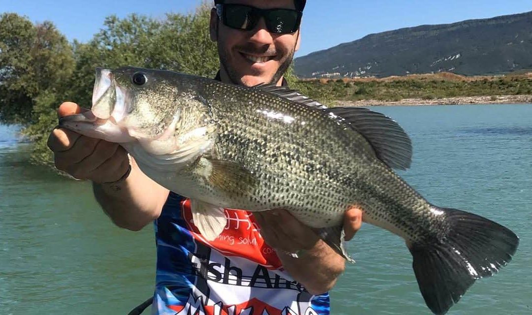 7 Tips for Fishing the Black Bass