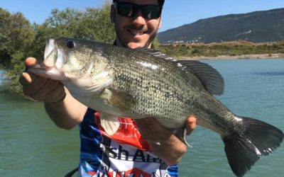 7 Tips for Fishing the Black Bass