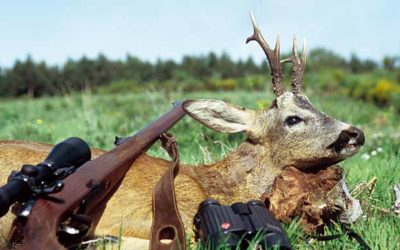 TIPS FOR HUNTING ROE DEER