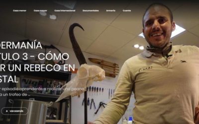 Today, free in Cazaflix, the third chapter of Taxidermanía: how to make a rebeco on a stand