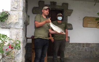 Campanu de Asturias: este vídeo muestra cómo lo han pescado