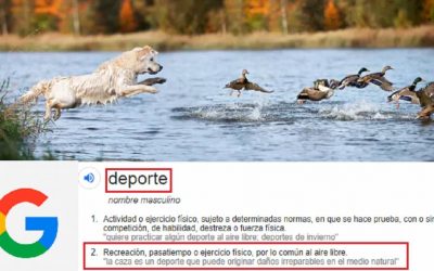 Google considera la caza «dañina». Esto es lo que puedes hacer para cambiarlo