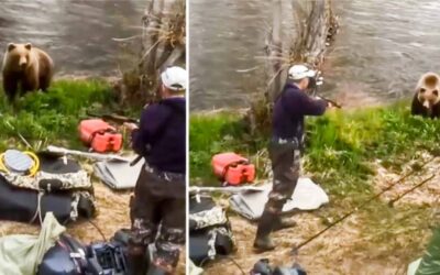 A bear gets too close to this hunter, who does not want to shoot, but is forced to do so.