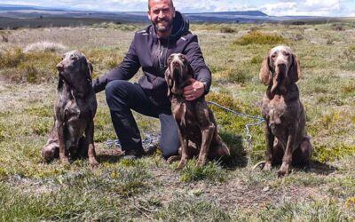 Roban 13 perros de caza a un cazador de Burgos, que hace un llamamiento desesperado de ayuda